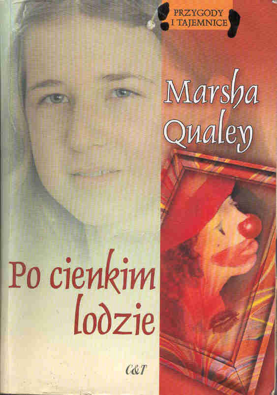 Po cienkim lodzie