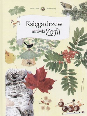 Księga drzew mrówki Zofii