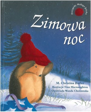 Zimowa noc
