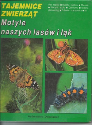 Tajemnice zwierząt. Motyle naszych lasów i łąk