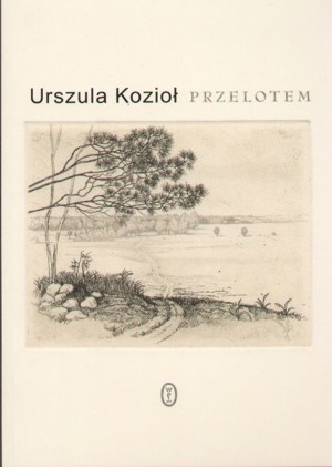 Przelotem