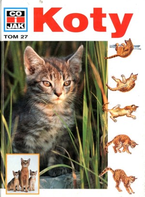 Co i Jak (27). Koty